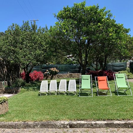 Casa Praia E Campo เวียนา โด กัสเตโล ภายนอก รูปภาพ